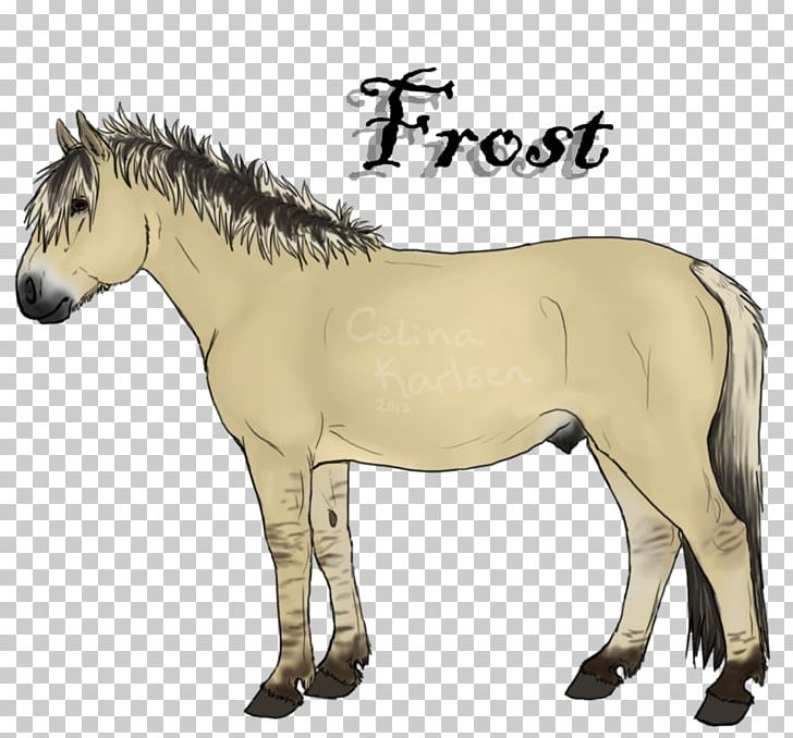 Mule Stallion Pony Mare Mustang PNG, Clipart, Animal, Animal Figure, Bridle, Carnivoran, Colt Free PNG Download