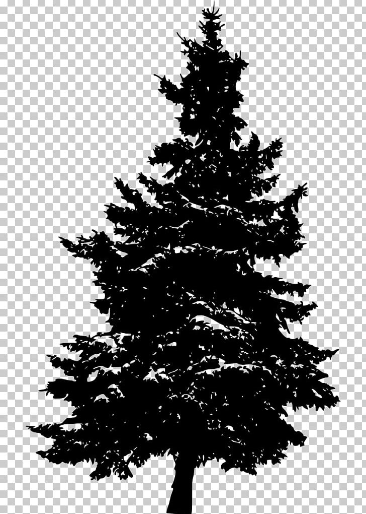Pine Silhouette Fir Tree PNG, Clipart, Animals, Black And White, Branch, Christmas, Christmas Decoration Free PNG Download