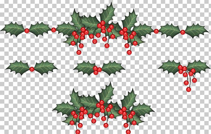 Portable Network Graphics Christmas Tree Fruit PNG, Clipart, Aquifoliaceae, Aquifoliales, Branch, Christmas, Christmas Decoration Free PNG Download