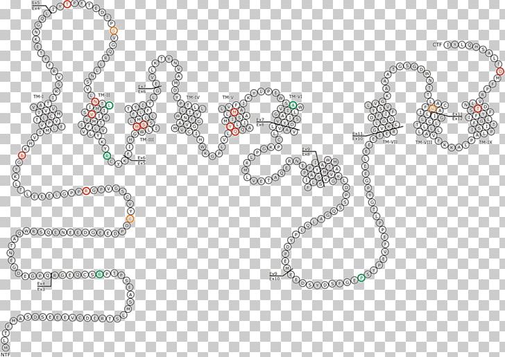 Presenilin PSEN2 PSEN1 Alzheimer's Disease Mutation PNG, Clipart, Amyloid Beta, Amyloid Precursor Protein, Art, Body Jewelry, Chain Free PNG Download