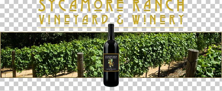 Sycamore Ranch Vineyard & Winery Common Grape Vine Winemaker PNG, Clipart, Agriculture, Arrowhead, Com, Common Grape Vine, Crop Free PNG Download