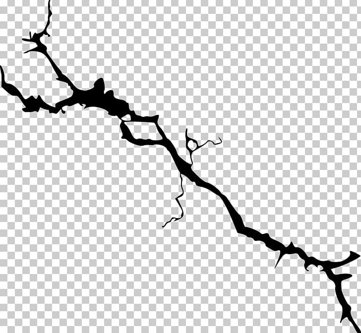 Branch Tree PNG, Clipart, Art Wall, Black And White, Branch, Clip Art, Crack Free PNG Download