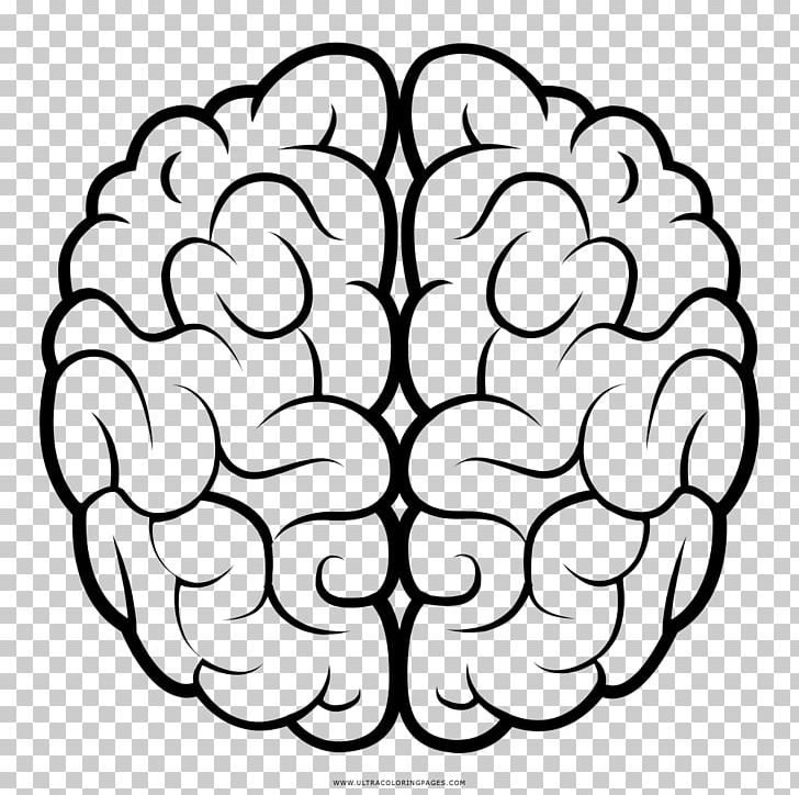 Human Brain Drawing Agy PNG, Clipart, Area, Black And White, Brain, Brain Tumor, Coloring Book Free PNG Download