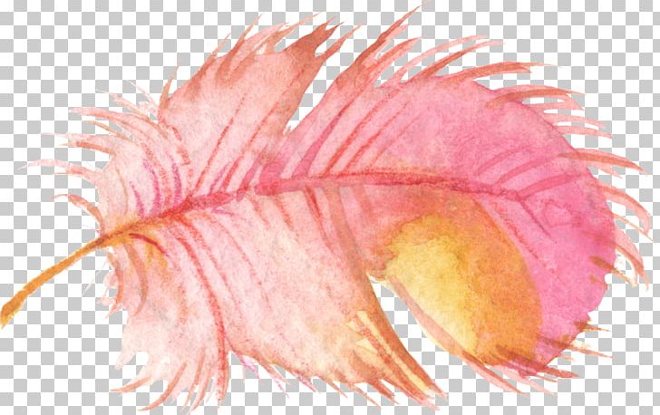 Bird Feather Watercolor Painting PNG, Clipart, Animals, Art, Bird, Closeup, Download Free PNG Download