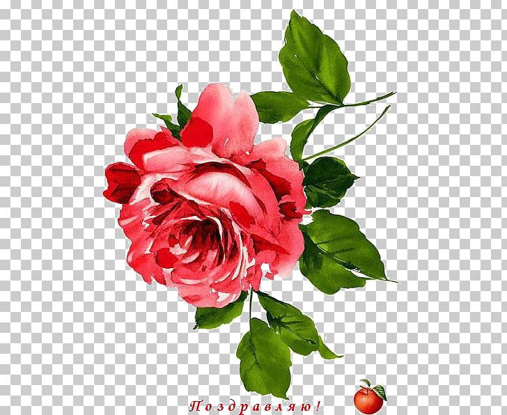 Garden Roses Flower Floral Design PNG, Clipart, Annual Plant, Art, Artificial Flower, China Rose, Cut Flowers Free PNG Download