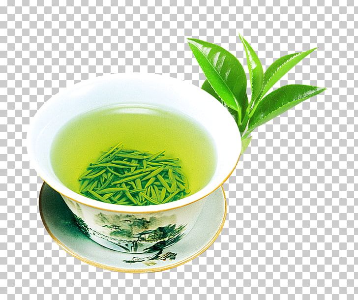 Green Tea Flowering Tea Tea Culture PNG, Clipart, Alternative Medicine, Chinese Tea, Encapsulated Postscript, Green Apple, Gyokuro Free PNG Download