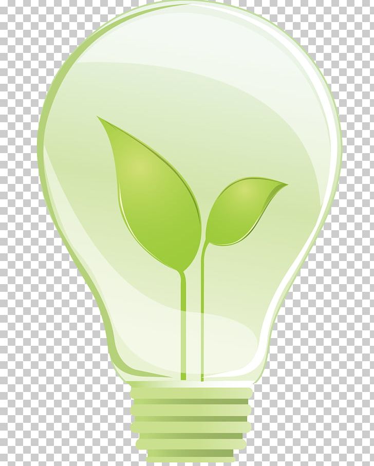 Leaf PNG, Clipart, Box, Energy, Energy Management, Grass, Green Free PNG Download