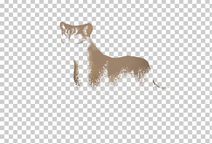 Whiskers Cat Red Fox Coyote Fur PNG, Clipart, Animals, Big Cat, Big Cats, Carnivoran, Cat Free PNG Download