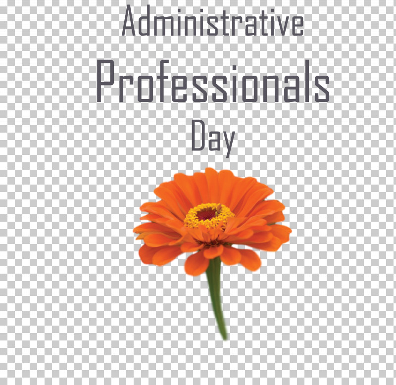 Administrative Professionals Day Secretaries Day Admin Day PNG, Clipart, Admin Day, Administrative Professionals Day, Calendula, Cut Flowers, Flower Free PNG Download