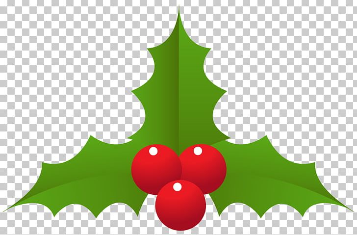 Christmas Decoration Item. PNG, Clipart, Aquifoliaceae, Aquifoliales, Christmas, Christmas Day, Christmas Decoration Free PNG Download