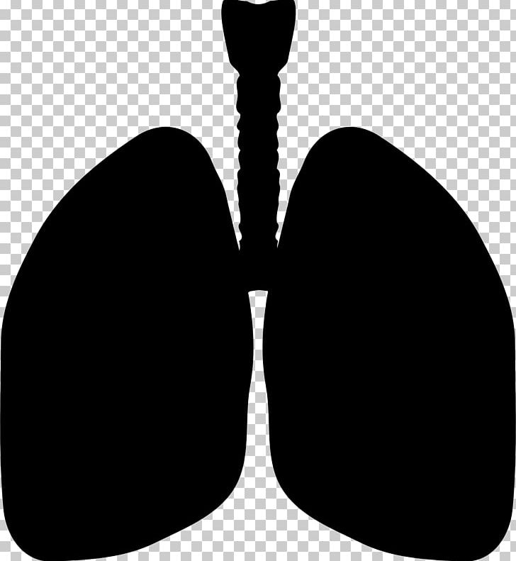 Lung Computer Icons PNG, Clipart, Alpha 1antitrypsin Deficiency, Black, Black And White, Bronchus, Computer Icons Free PNG Download