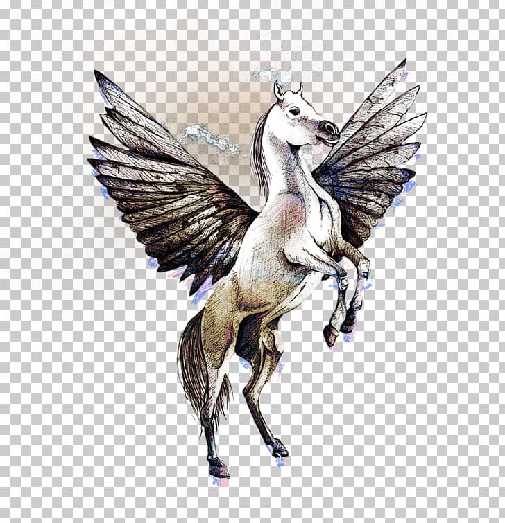 Pegasus Horse Drawing PNG, Clipart, Download, Encapsulated Postscript, Feather, Fictional Character, Pegasus 3d Free PNG Download