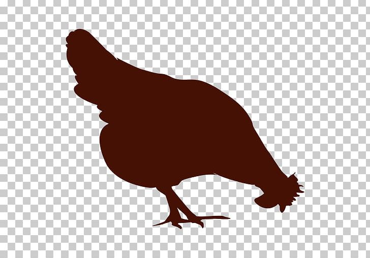Broiler Turkey Poultry Barnevelder Brahma Chicken PNG, Clipart, Animals, Barnevelder, Beak, Bird, Black And White Free PNG Download
