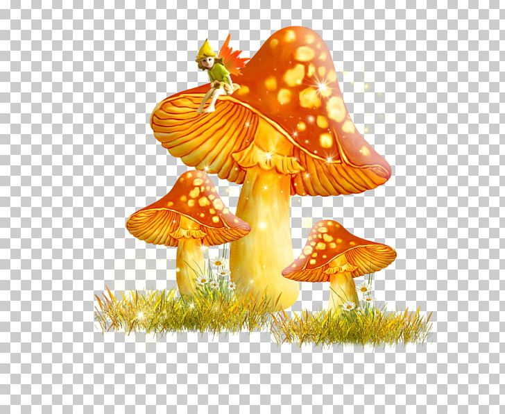 Fungus Mushroom Digital PNG, Clipart, Amanita Muscaria, Autumn, Data Compression, Decoupage, Digital Image Free PNG Download