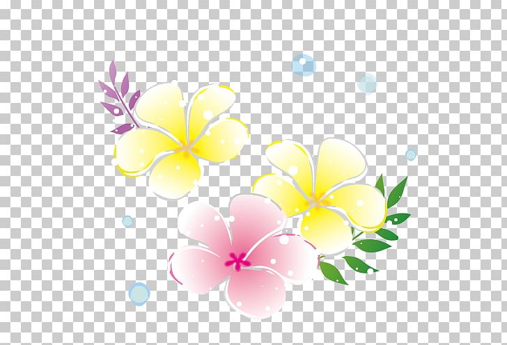 Plumeria Flower. PNG, Clipart, Bottle, Child, Colon, Computer Wallpaper, Flora Free PNG Download