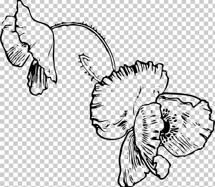 Poppy Coloring Book Flower PNG, Clipart, Black And White, Carnivoran, Color, Coloring Book, Drawing Free PNG Download