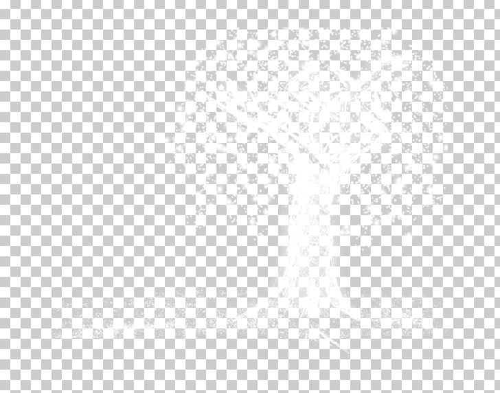 White Black Angle Pattern PNG, Clipart, Angle, Black, Black And White, Christmas Tree, Circle Free PNG Download