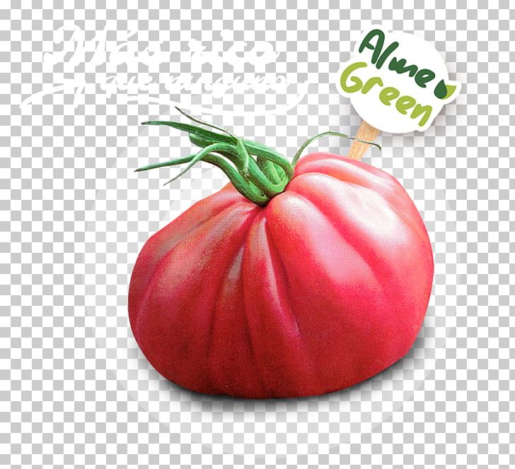 Beefsteak Tomato Food Greenhouse Vegetarian Cuisine PNG, Clipart, Almeria, Bell Pepper, Bell Peppers And Chili Peppers, Capsicum Annuum, Chili Pepper Free PNG Download