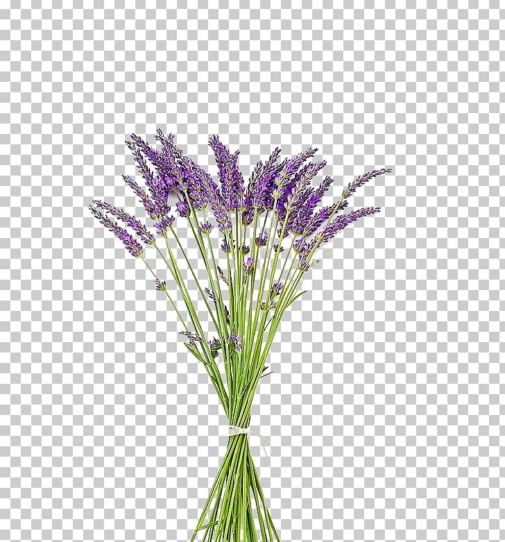 English Lavender Pressed Flower Craft Flower Bouquet PNG, Clipart, Cut Flowers, Decoupage, Drop Shipping, English Lavender, Flower Free PNG Download