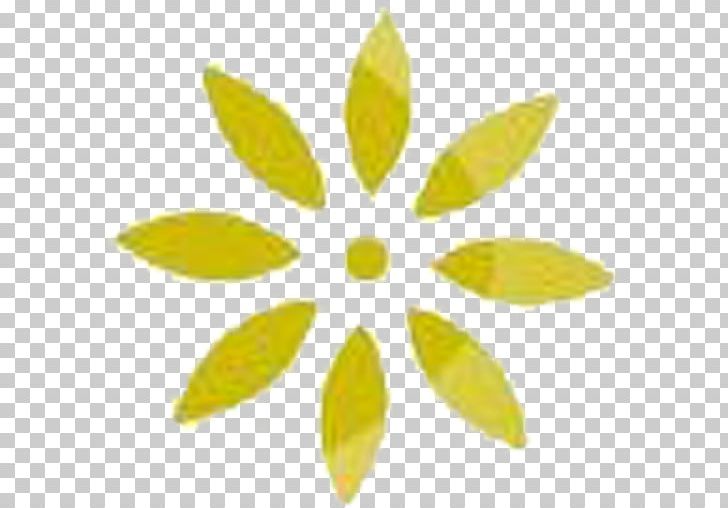 Graphics Cutting Photograph PNG, Clipart, Cutting, Engraving, Flower, Fruit, Laser Free PNG Download