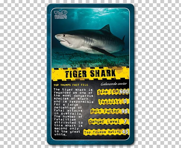 Shark Winning Moves Top Trumps Card Game PNG, Clipart, Animal, Animals, Box Jellyfish, Brand, Card Game Free PNG Download