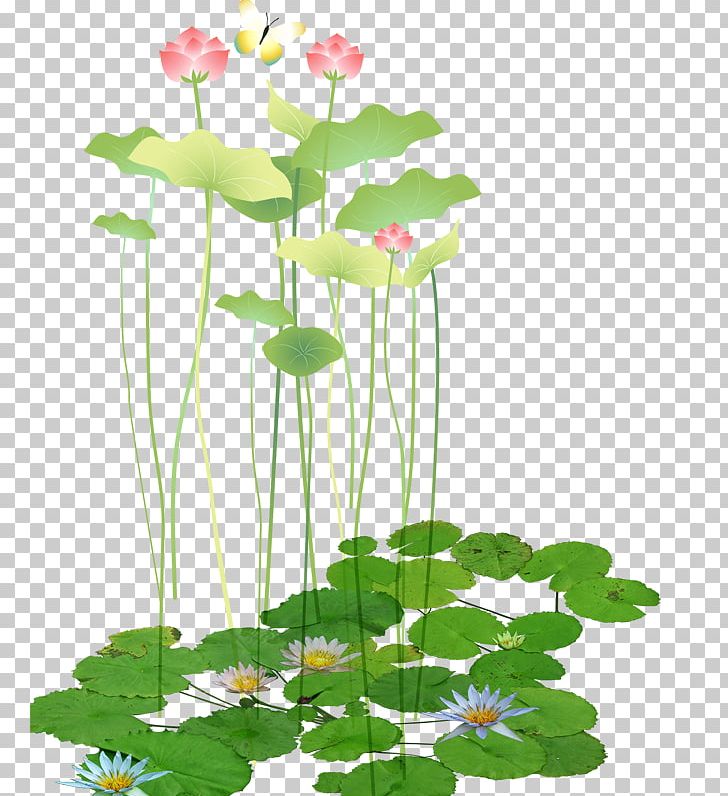 Software Computer File PNG, Clipart, Annual Plant, Aquatic Plant, Art, Branch, Encapsulated Postscript Free PNG Download