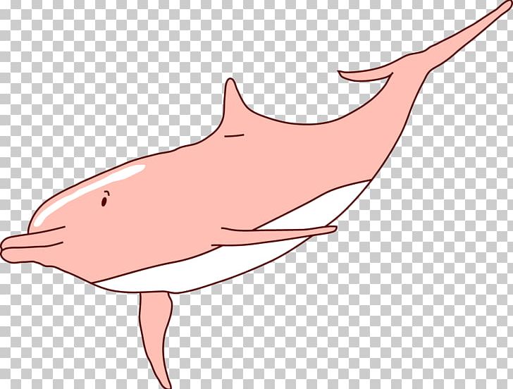 Tucuxi Dolphin PNG, Clipart, Animal, Animals, Animation, Cartoon, Cute Dolphin Free PNG Download