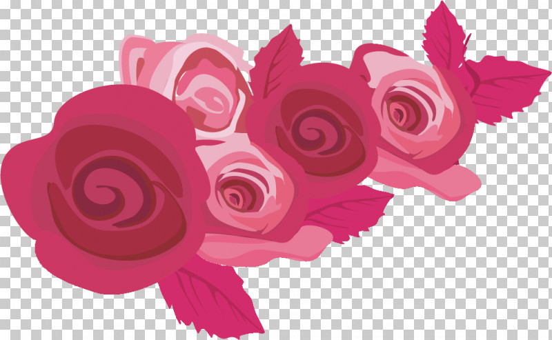 Flowers Roses Valentines Day PNG, Clipart, Flower, Flowers, Garden Roses, Magenta, Petal Free PNG Download