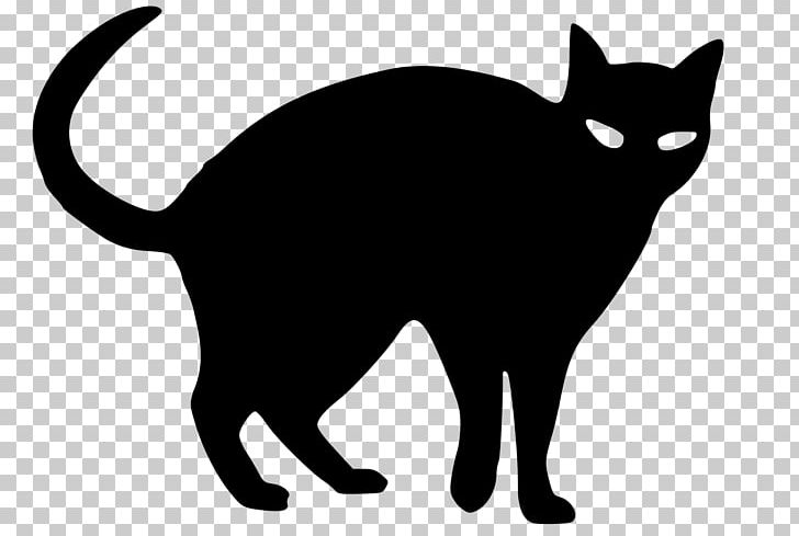 Black Cat Kitten Snowshoe Cat PNG, Clipart, Animals, Bla, Black, Carnivoran, Cat Free PNG Download