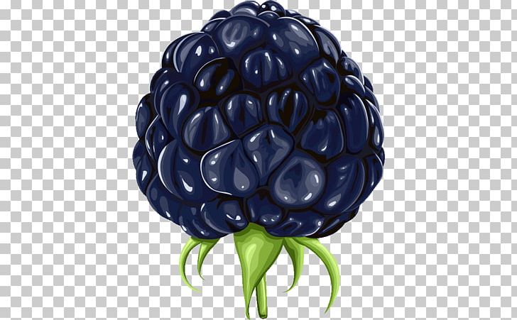 Blackberry PNG, Clipart, Auglis, Berry, Bilberry, Blackberry, Drawing Free PNG Download