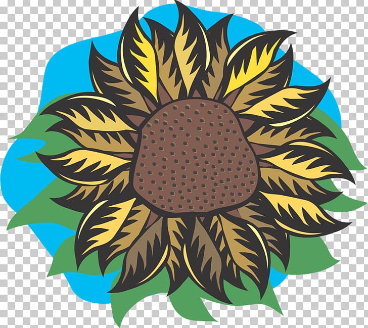 Illustration Flower Graphics Drawing PNG, Clipart, Circle, Daisy Family, Depositphotos, Drawing, Floral Design Free PNG Download