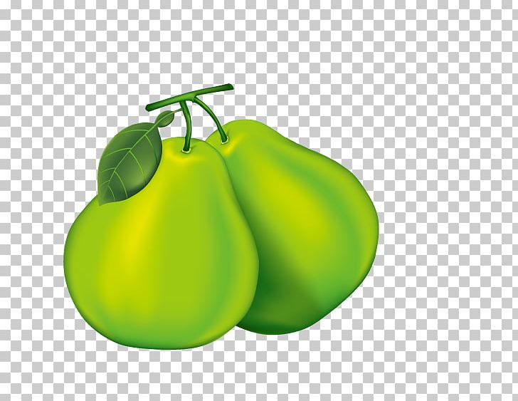 Pear Pomelo Cartoon PNG, Clipart, Adobe Illustrator, Apple, Auglis, Background Green, Cucurbita Free PNG Download