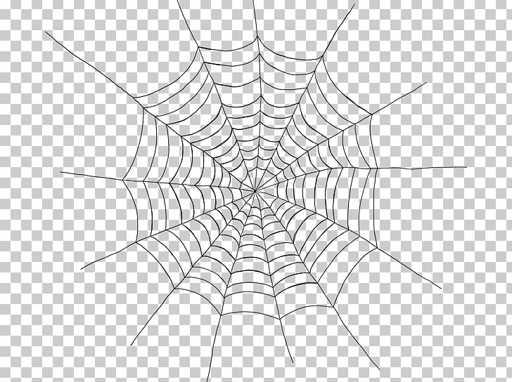 Spider Web PNG, Clipart, Angle, Area, Artwork, Black, Black And White Free PNG Download