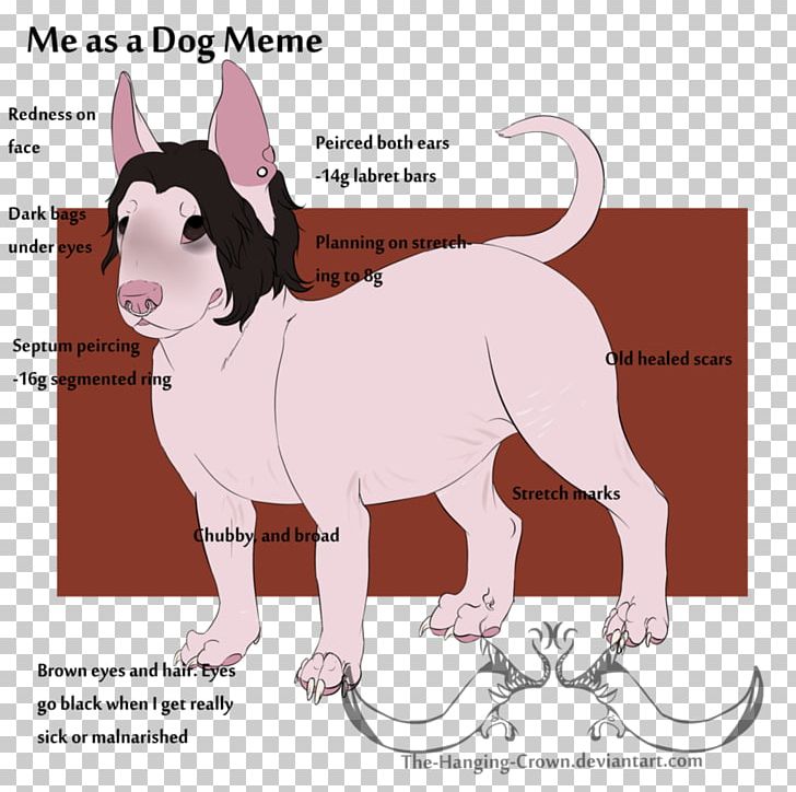 Cat Dog Breed Non-sporting Group Horse PNG, Clipart, Animals, Breed, Carnivoran, Cartoon, Cat Free PNG Download