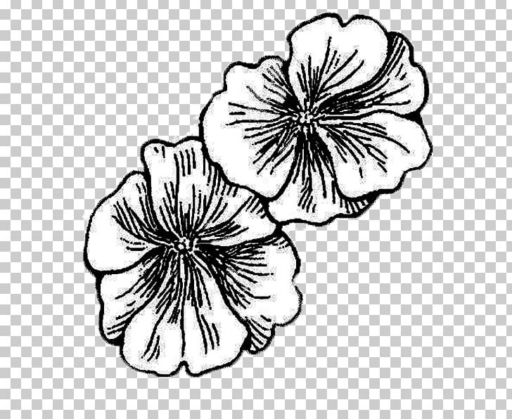 Pansy Drawing Mallows PNG, Clipart, Art, Artwork, Black And White, Cut Flowers, Drawing Free PNG Download