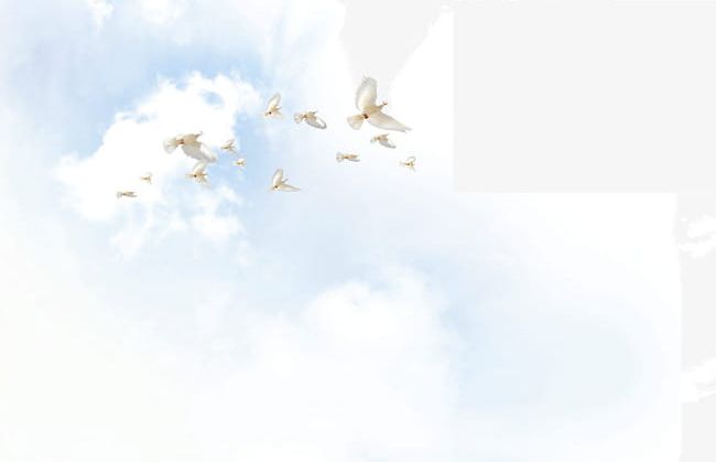 Soaring Dove PNG, Clipart, Air, Animal, Animal Wing, Backgrounds, Bird Free PNG Download