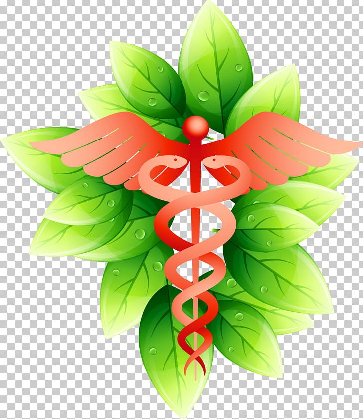 Symbol Medicine Physician PNG, Clipart, Download, Droplets, Droplets Vector, Euclidean Vector, Fall Leaves Free PNG Download