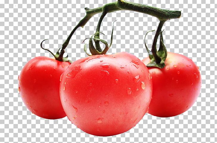 Tomato Juice Vegetable Canned Tomato Tomato Extract PNG, Clipart, Apple, Bush, Chili Pepper, Food, Fruit Free PNG Download