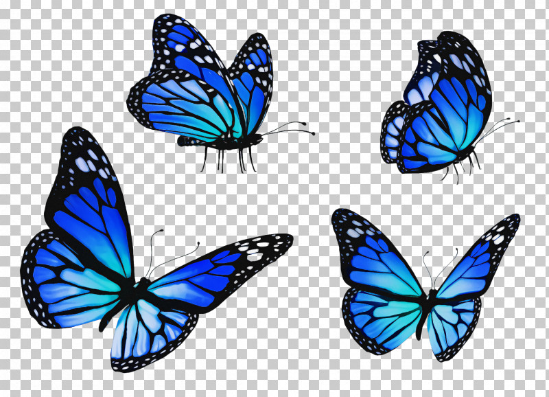 Moths And Butterflies Butterfly Insect Blue Pollinator PNG, Clipart, Apatura, Blue, Brushfooted Butterfly, Butterfly, Cobalt Blue Free PNG Download