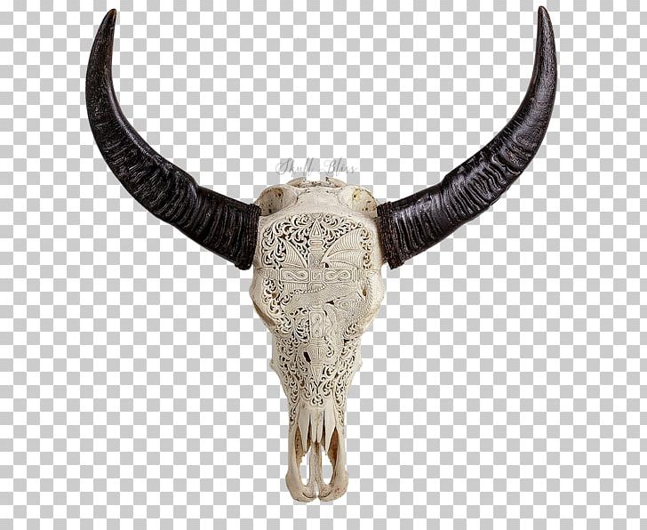 Cattle Human Skull Symbolism Animal Skulls PNG, Clipart, African Buffalo, Animal, Animal Skulls, Bull, Cattle