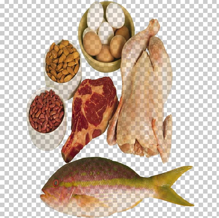 Fatty Liver Eating Food Protein PNG, Clipart, Abdominal Obesity, Adipose Tissue, Animal Source Foods, Calc, Diet Free PNG Download
