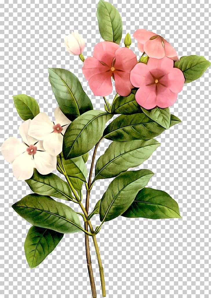 Flower Watercolor Painting Plant PNG, Clipart, Branch, Encapsulated Postscript, Flower, Flowering Plant, Flowerpot Free PNG Download