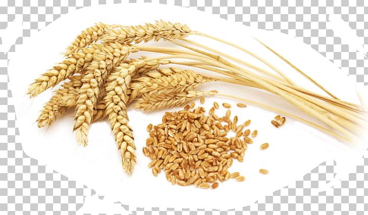 Organic Food Cereal Whole Grain Durum Wheat Flour PNG, Clipart, Ancient Grains, Barley, Cereal, Cereal Germ, Commodity Free PNG Download