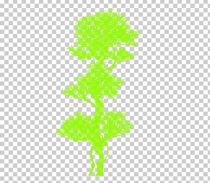 Tree Plant Stem Aquarium PNG, Clipart, Aquarium, Aquarium Decor, Flowerpot, Grass, Nature Free PNG Download