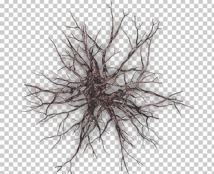 Twig Tree Branch PNG, Clipart, Arecaceae, Black And White, Branch, Computer, Computer Icons Free PNG Download