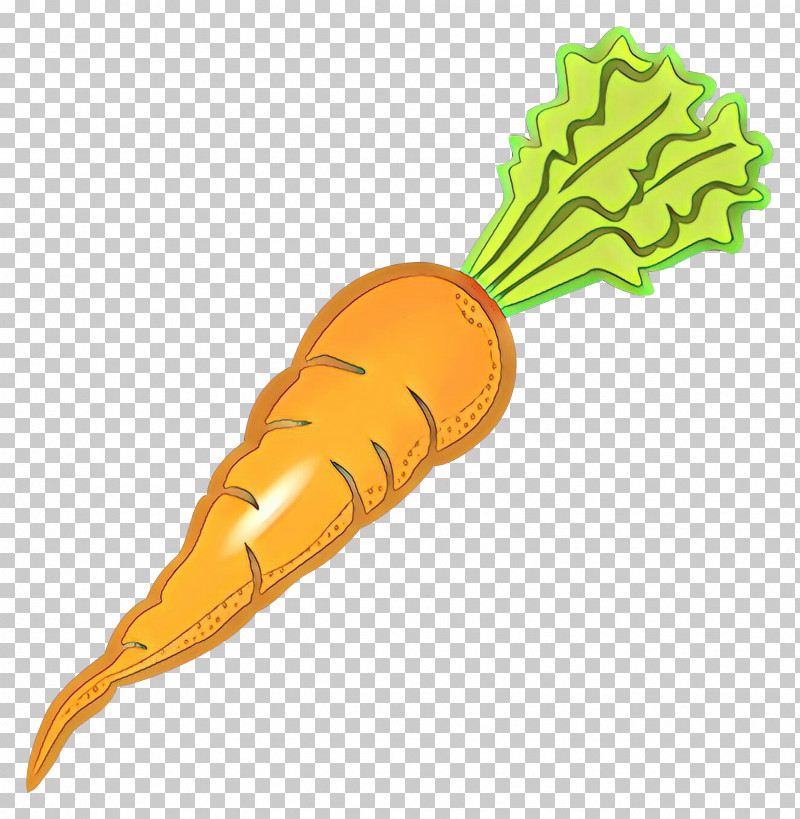 Carrot Vegetable Daikon Root Vegetable Plant PNG, Clipart, Carrot, Daikon, Plant, Radish, Root Vegetable Free PNG Download