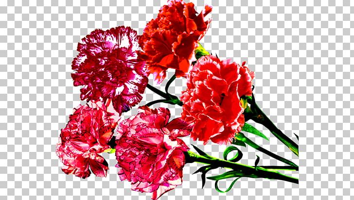 Defender Of The Fatherland Day Russia Holiday Daytime PNG, Clipart, Ansichtkaart, Carnation, Cut Flowers, Days Of Military Honour, Daytime Free PNG Download