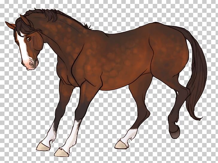 Foal Horse Mane Pony Rein PNG, Clipart, Animal Figure, Animals, Bridle, Clydesdale Horse, Colt Free PNG Download