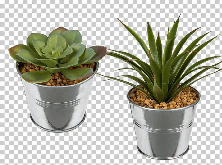 Succulent Plant Flowerpot Ceramic Glass PNG, Clipart, Agave, Cactaceae, Cactus, Ceramic, Decorative Arts Free PNG Download