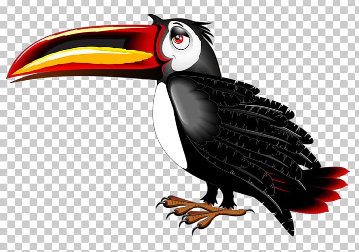 Toucan Bird Cartoon PNG, Clipart, Albom, Animals, Animation, Beak, Bird Free PNG Download